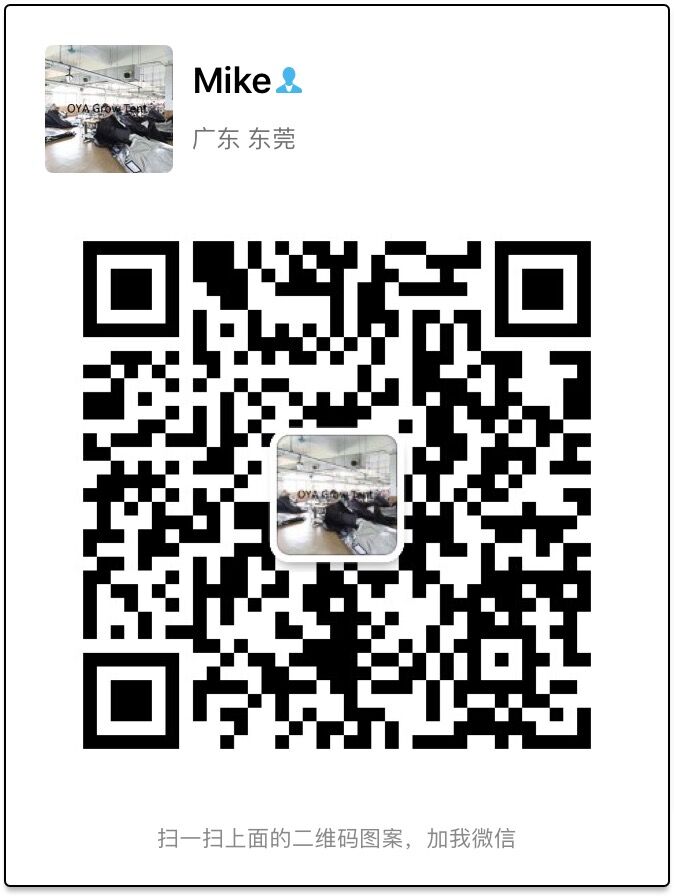 m13538553236